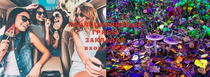 Галлюциногенные грибы Magic Shrooms  Алдан 